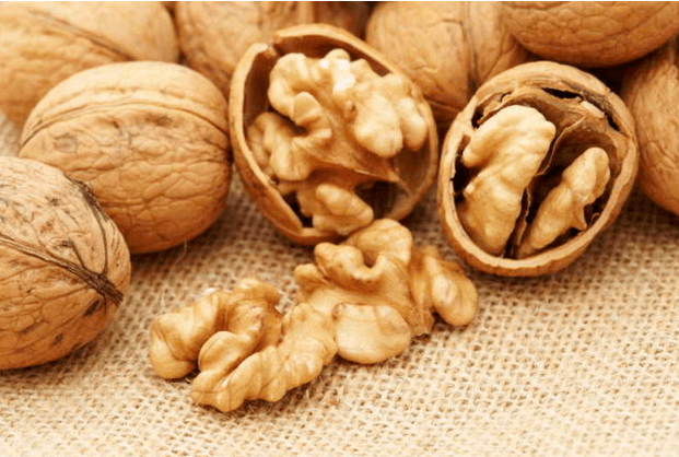 Gusanos de gusanos