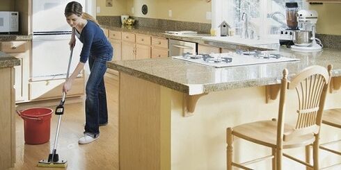 Limpieza húmeda para prevenir la infestación de parásitos.