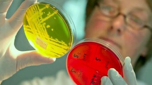 Estudio de pruebas para la detección de parásitos en el cuerpo humano